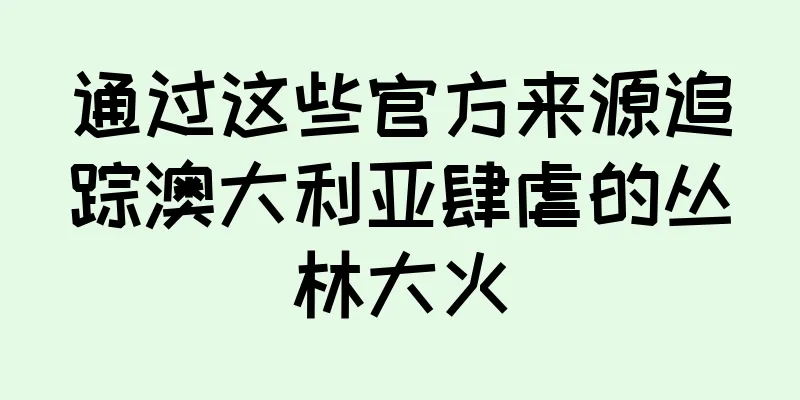 通过这些官方来源追踪澳大利亚肆虐的丛林大火