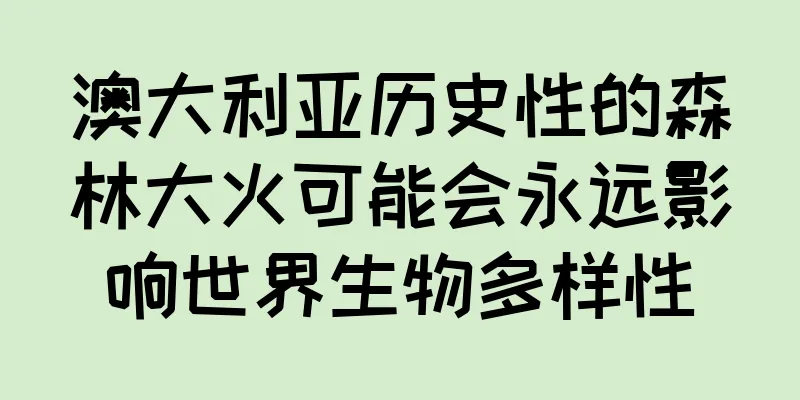 澳大利亚历史性的森林大火可能会永远影响世界生物多样性