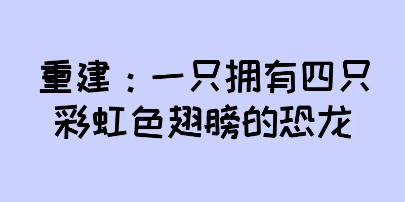 重建：一只拥有四只彩虹色翅膀的恐龙