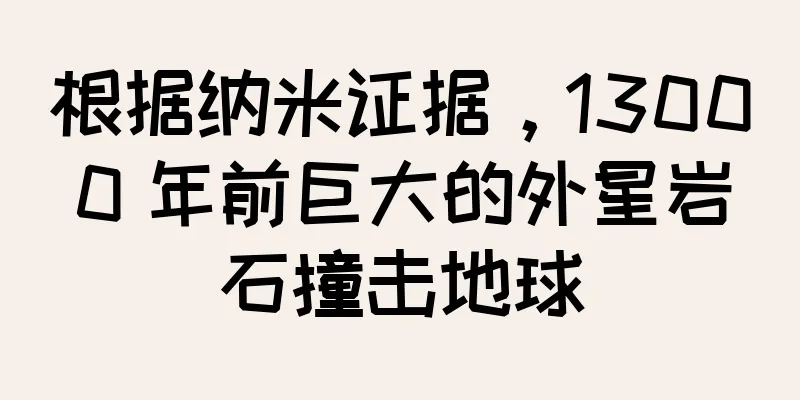 根据纳米证据，13000 年前巨大的外星岩石撞击地球
