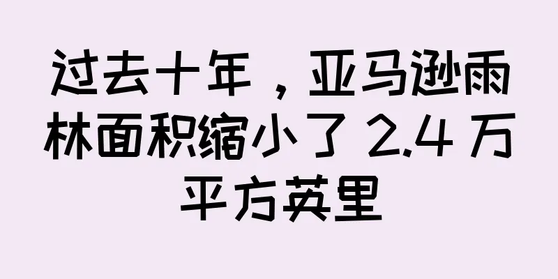 过去十年，亚马逊雨林面积缩小了 2.4 万平方英里