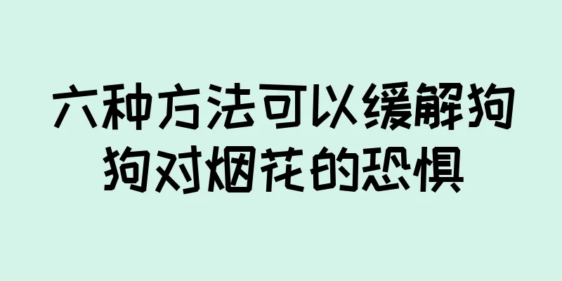 六种方法可以缓解狗狗对烟花的恐惧