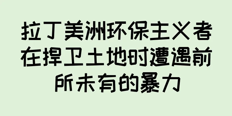 拉丁美洲环保主义者在捍卫土地时遭遇前所未有的暴力