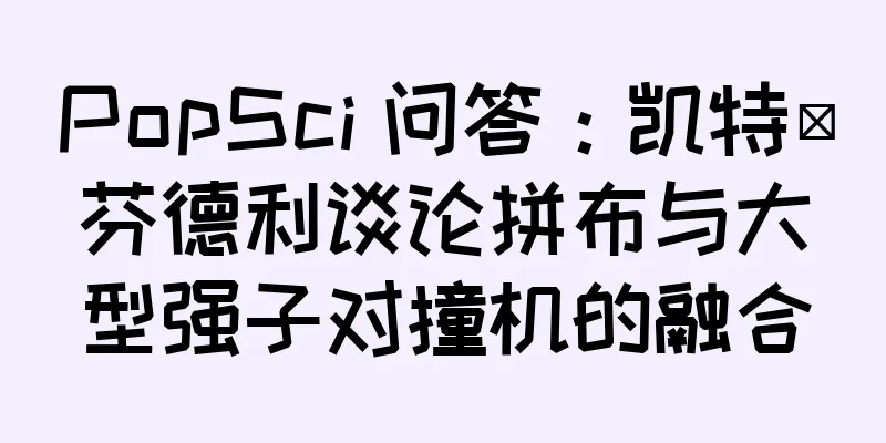 PopSci 问答：凯特·芬德利谈论拼布与大型强子对撞机的融合