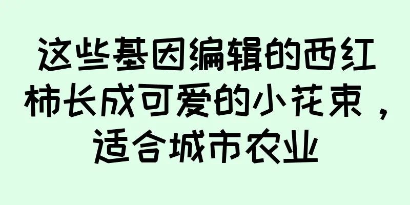 这些基因编辑的西红柿长成可爱的小花束，适合城市农业