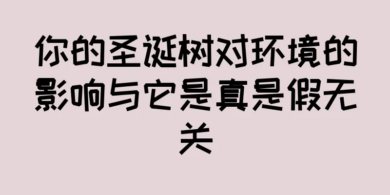 你的圣诞树对环境的影响与它是真是假无关
