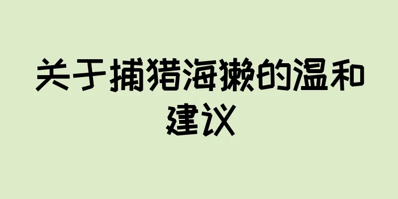 关于捕猎海獭的温和建议