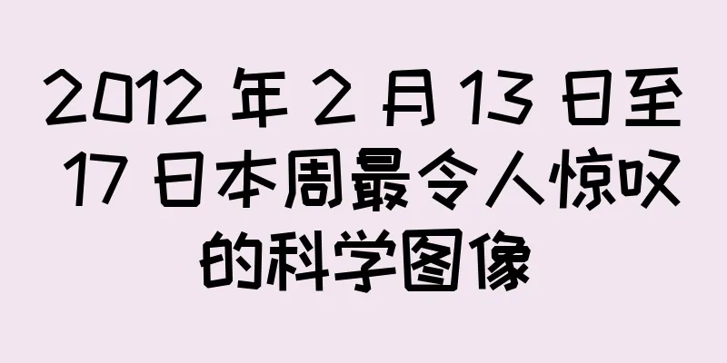 2012 年 2 月 13 日至 17 日本周最令人惊叹的科学图像