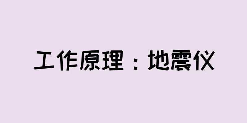 工作原理：地震仪