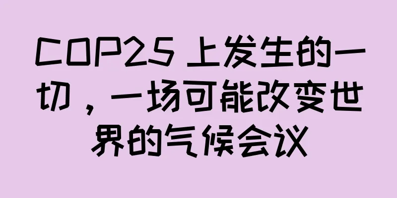 COP25 上发生的一切，一场可能改变世界的气候会议