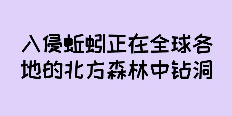 入侵蚯蚓正在全球各地的北方森林中钻洞