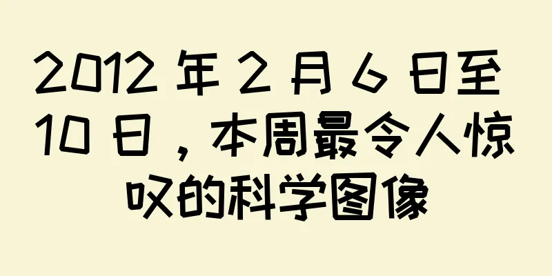 2012 年 2 月 6 日至 10 日，本周最令人惊叹的科学图像