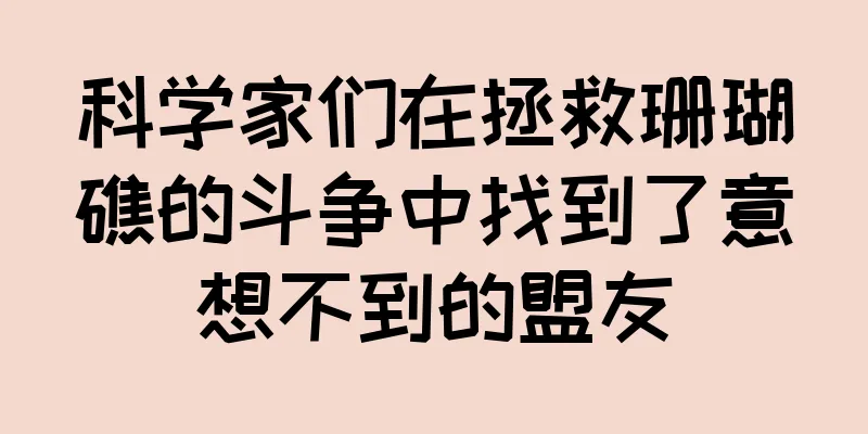 科学家们在拯救珊瑚礁的斗争中找到了意想不到的盟友