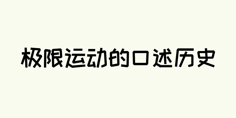 极限运动的口述历史