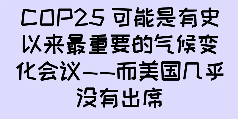 COP25 可能是有史以来最重要的气候变化会议——而美国几乎没有出席
