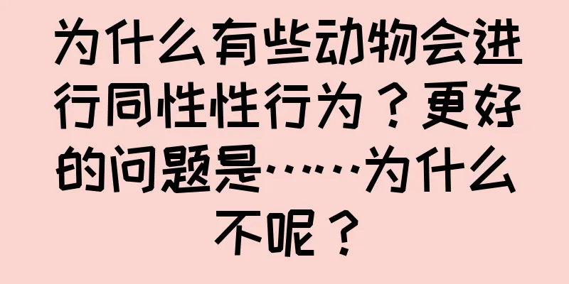 为什么有些动物会进行同性性行为？更好的问题是……为什么不呢？