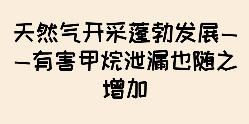 天然气开采蓬勃发展——有害甲烷泄漏也随之增加