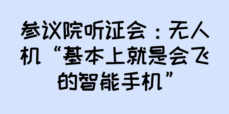 参议院听证会：无人机“基本上就是会飞的智能手机”