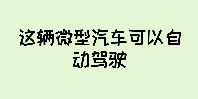 这辆微型汽车可以自动驾驶