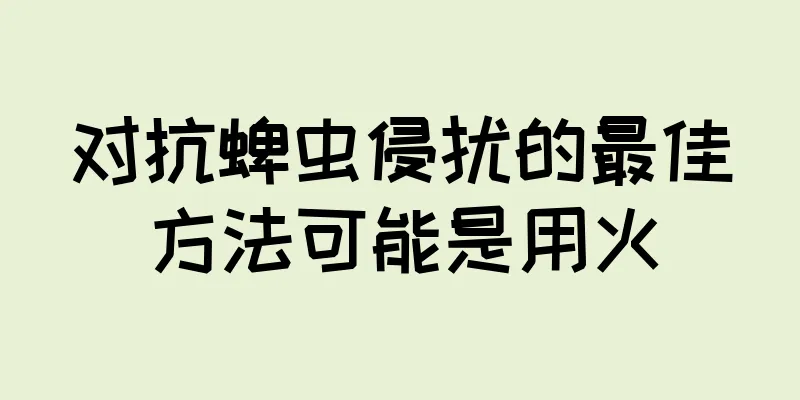 对抗蜱虫侵扰的最佳方法可能是用火