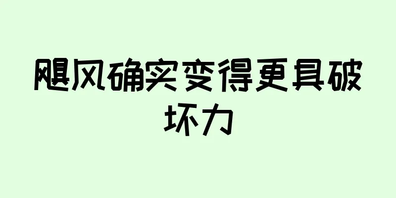 飓风确实变得更具破坏力