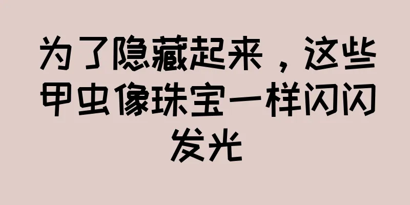 为了隐藏起来，这些甲虫像珠宝一样闪闪发光