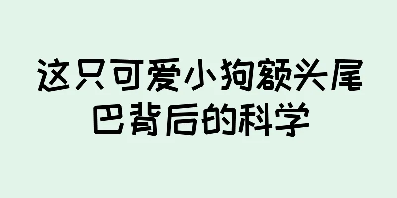 这只可爱小狗额头尾巴背后的科学