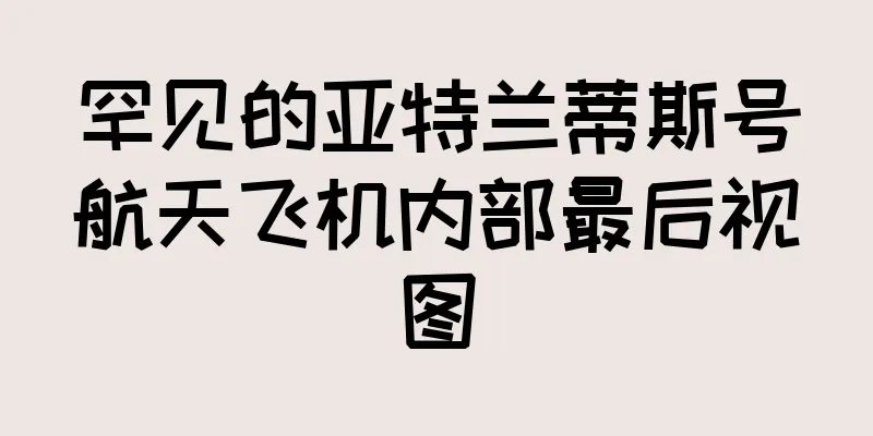罕见的亚特兰蒂斯号航天飞机内部最后视图
