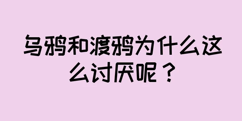 乌鸦和渡鸦为什么这么讨厌呢？