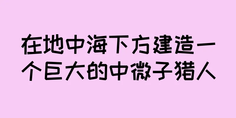 在地中海下方建造一个巨大的中微子猎人