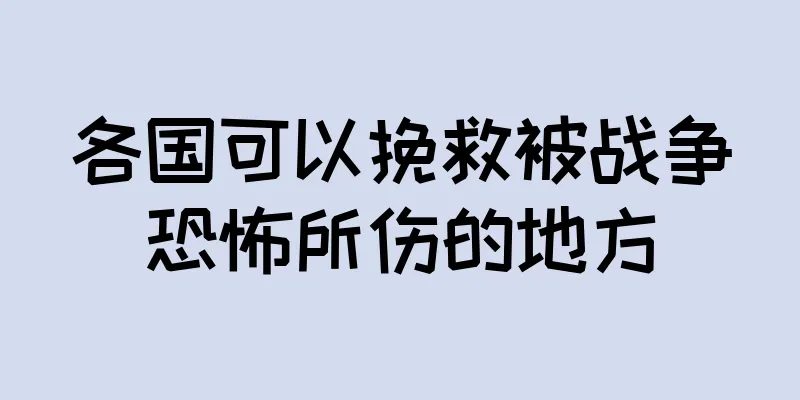 各国可以挽救被战争恐怖所伤的地方