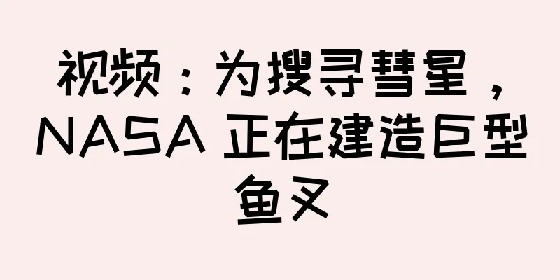 视频：为搜寻彗星，NASA 正在建造巨型鱼叉