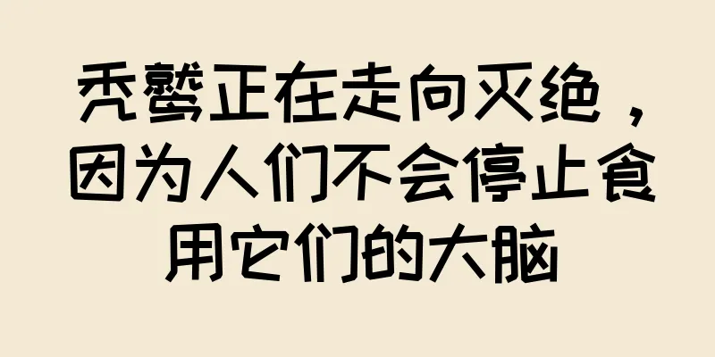 秃鹫正在走向灭绝，因为人们不会停止食用它们的大脑