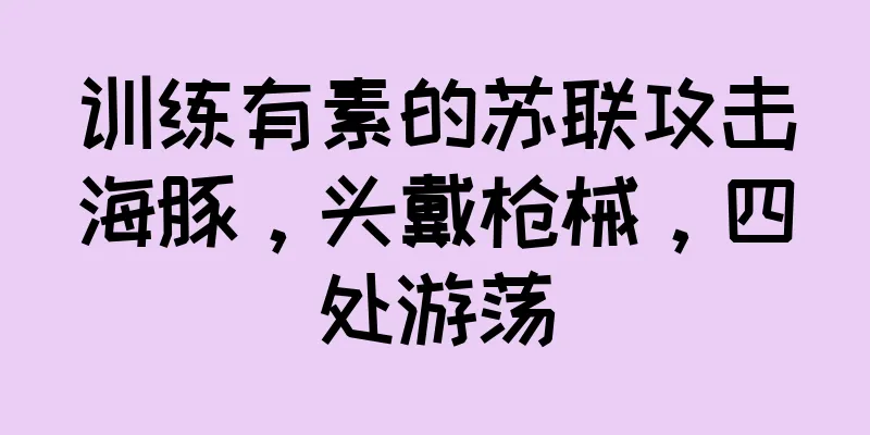 训练有素的苏联攻击海豚，头戴枪械，四处游荡