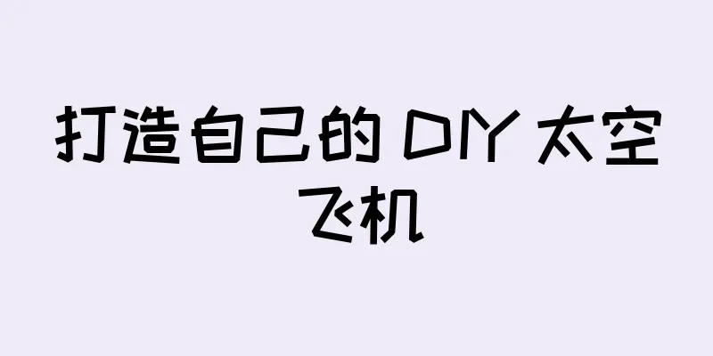 打造自己的 DIY 太空飞机