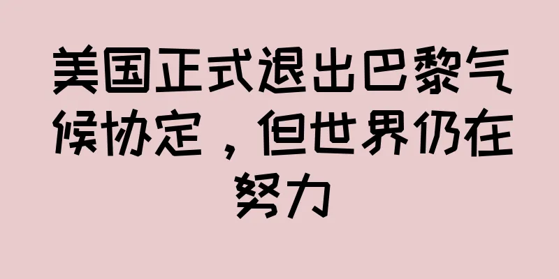 美国正式退出巴黎气候协定，但世界仍在努力