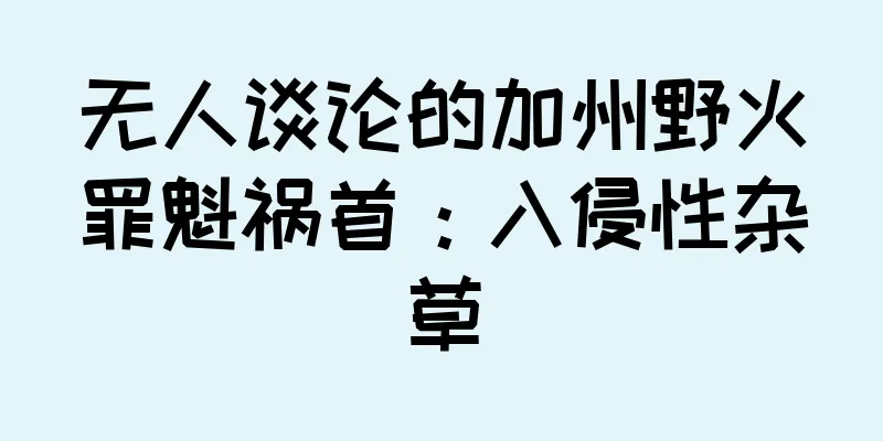 无人谈论的加州野火罪魁祸首：入侵性杂草
