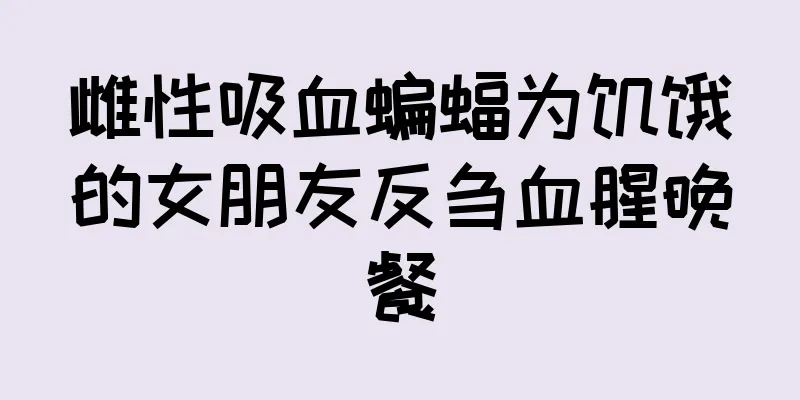 雌性吸血蝙蝠为饥饿的女朋友反刍血腥晚餐