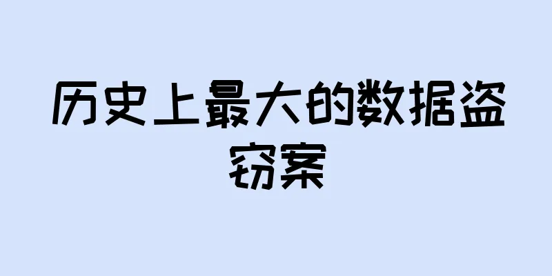历史上最大的数据盗窃案