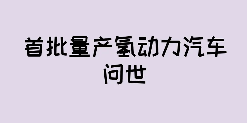 首批量产氢动力汽车问世