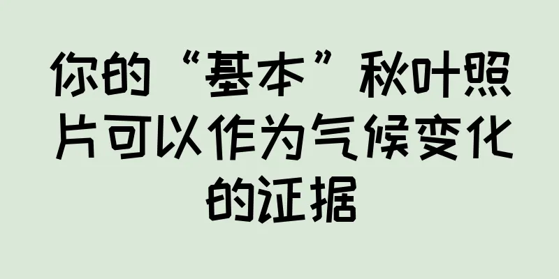 你的“基本”秋叶照片可以作为气候变化的证据