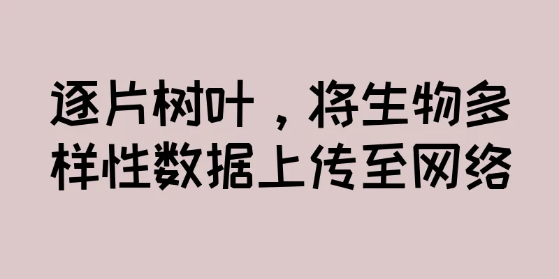 逐片树叶，将生物多样性数据上传至网络
