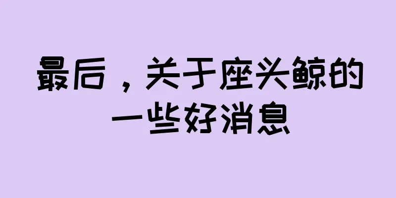 最后，关于座头鲸的一些好消息