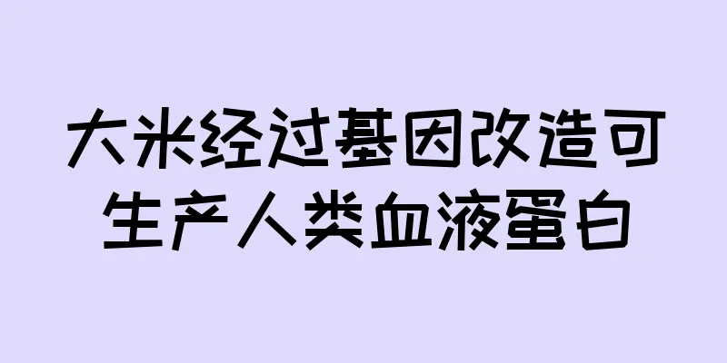 大米经过基因改造可生产人类血液蛋白