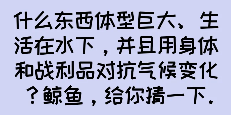 什么东西体型巨大、生活在水下，并且用身体和战利品对抗气候变化？鲸鱼，给你猜一下。