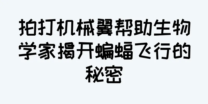 拍打机械翼帮助生物学家揭开蝙蝠飞行的秘密