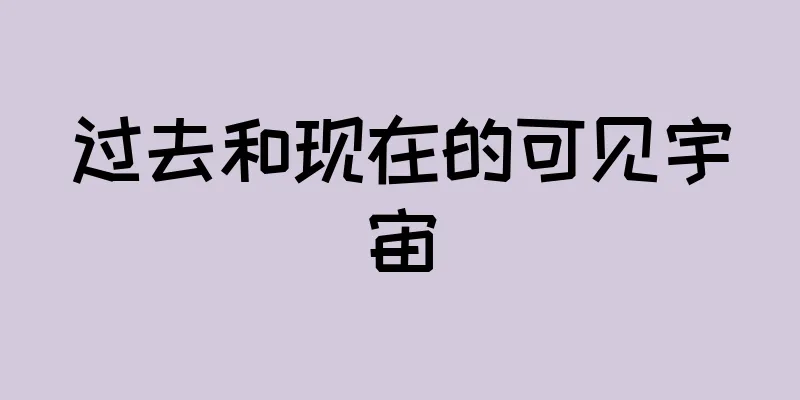 过去和现在的可见宇宙