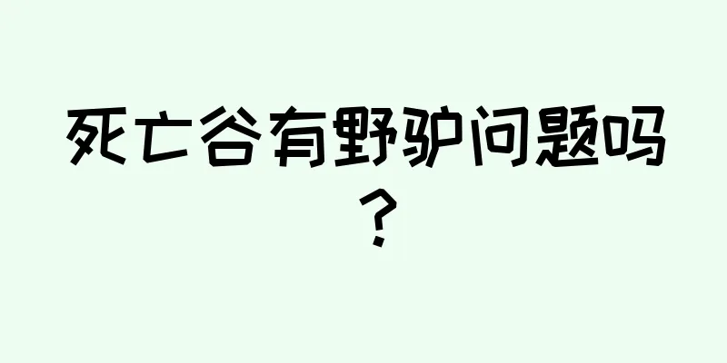 死亡谷有野驴问题吗？