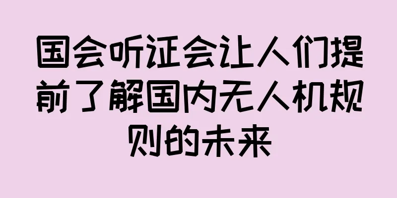 国会听证会让人们提前了解国内无人机规则的未来