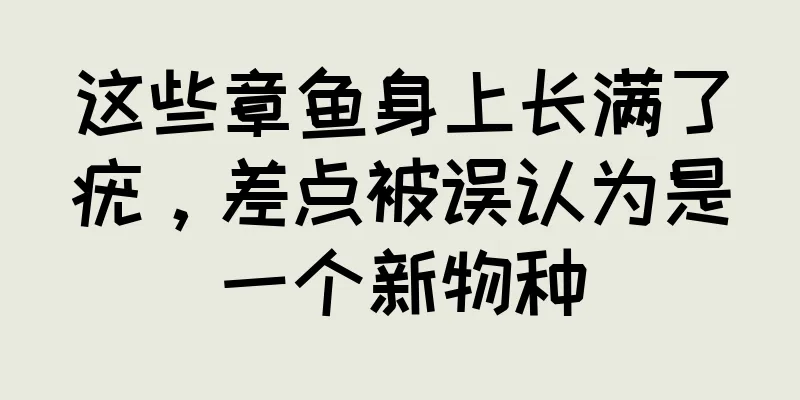 这些章鱼身上长满了疣，差点被误认为是一个新物种